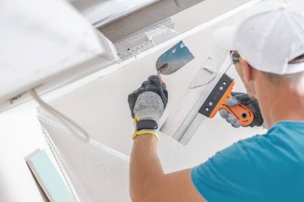 Best Drywall Sanding and Smoothing  in Ventress, LA